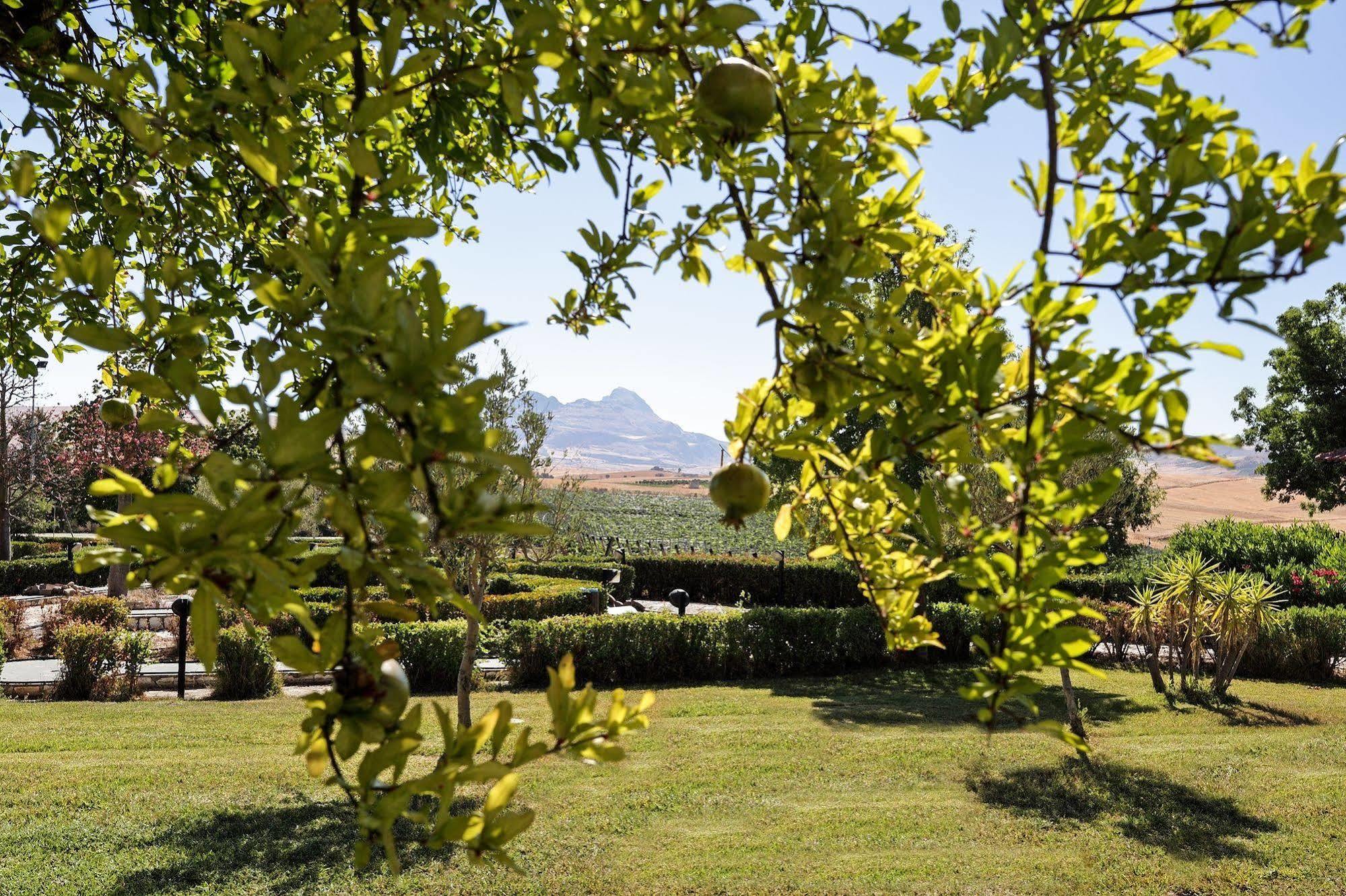 Agriturismo Tenute Pollara Roccamena Zewnętrze zdjęcie